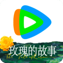 一条连裤袜可以穿多久